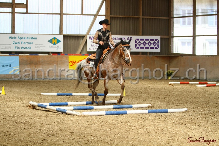 28-ApHC OT_219.jpg